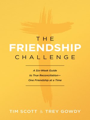 cover image of The Friendship Challenge
